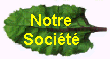 feuille 2.jpg (24980 octets)